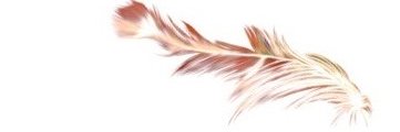 HealthStoryHub's profile banner image