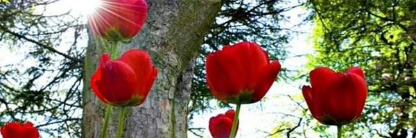 JLC_64 Profile Banner