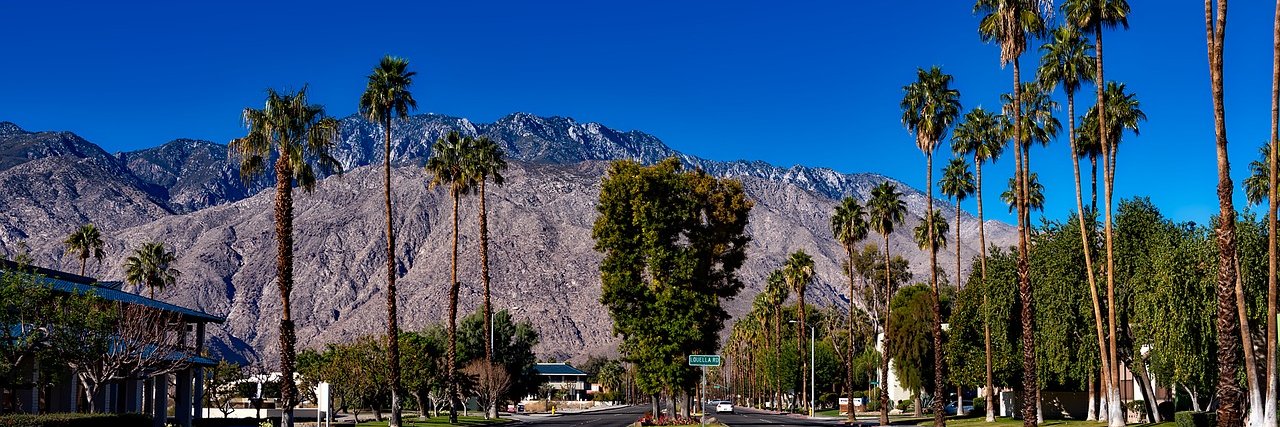 palmsprings's profile banner image