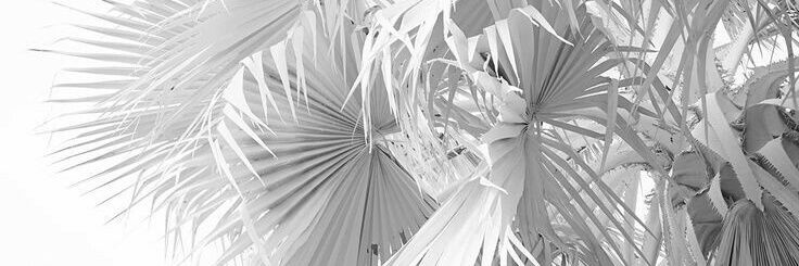 PiliGaarcia's profile banner image