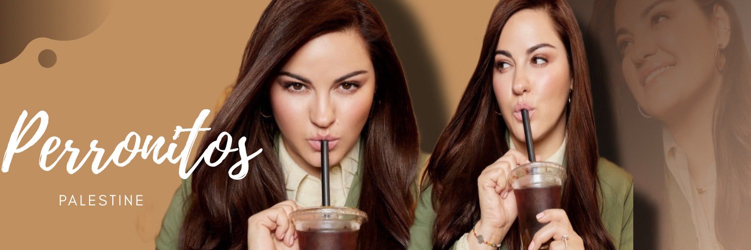 Perronitos Palestine banner