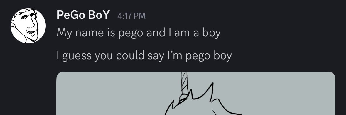 PeGo BoY banner