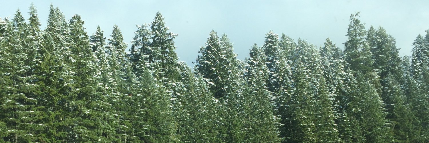 treehuggerz's profile banner image