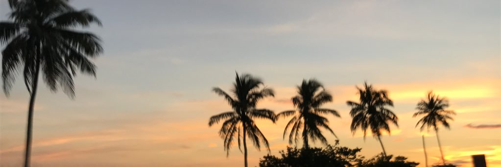 Jeni_sanchez_'s profile banner image
