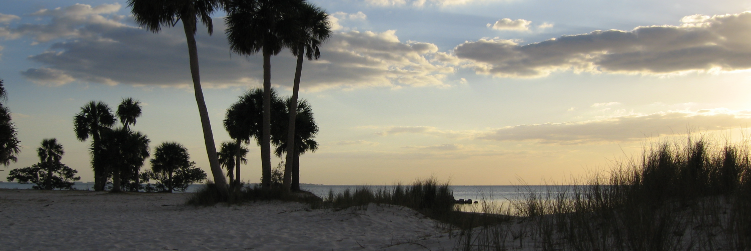 TarponSprings's profile banner image