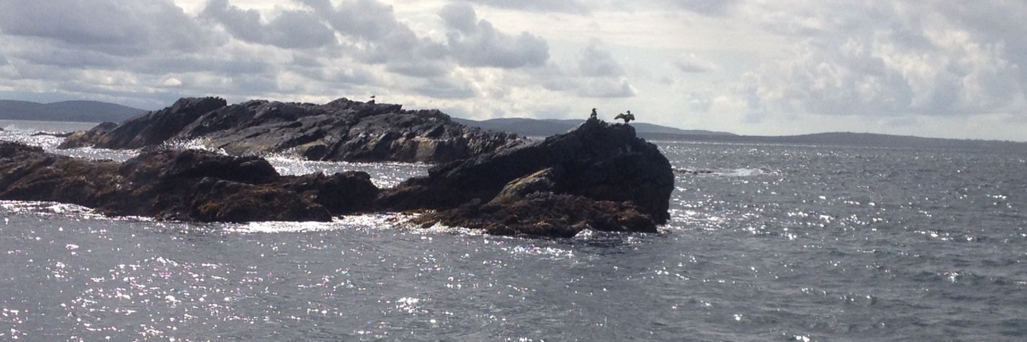 Lesley Emerson banner