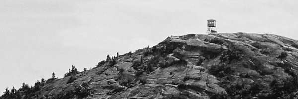 paladinworks Profile Banner