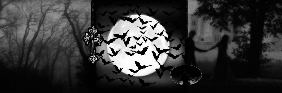 moonlay🦇 banner