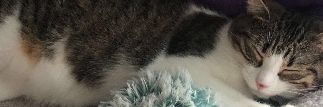 DarilynRae's profile banner image