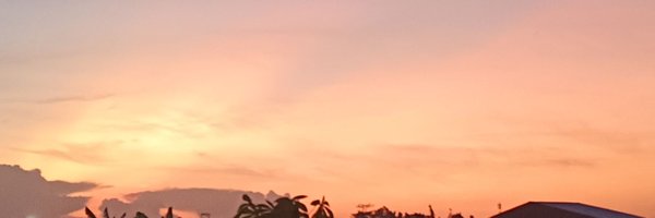 ntyshal Profile Banner