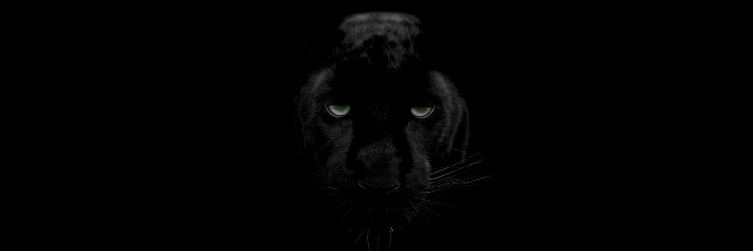 Laporta94's profile banner image