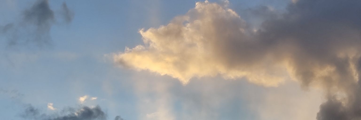 スガワラ banner