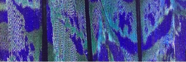 TheBoldPlace Profile Banner