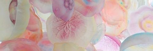 Raghad alotaibi banner