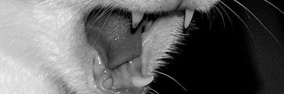 _x7i4i's profile banner image