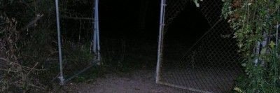 reverse. banner