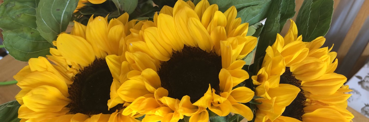 Tracey Flannery banner