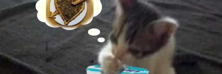 minikayran's profile banner image