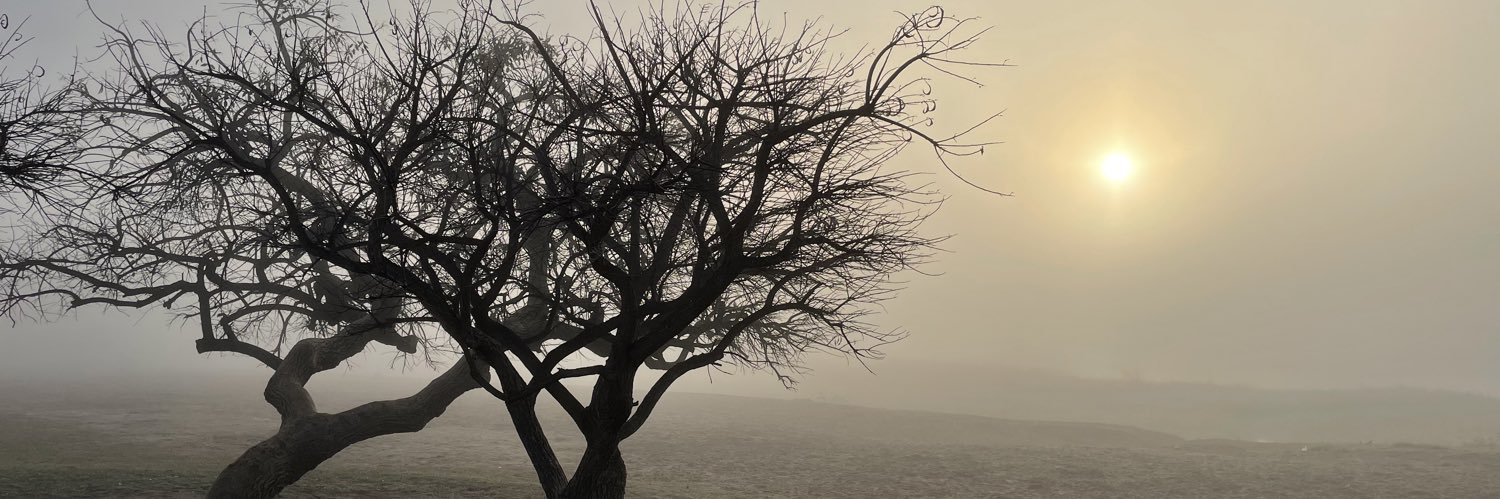gneffen's profile banner image