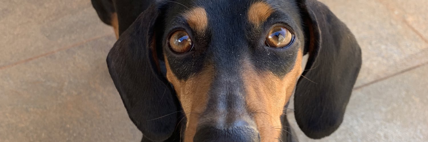Gabi banner