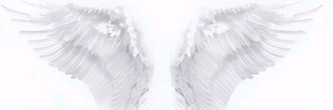 merosanangel's profile banner image