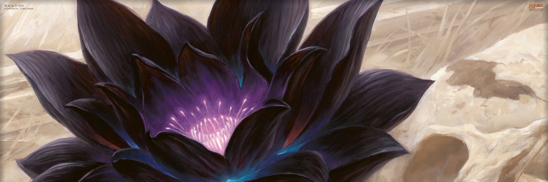 JNalwalker's profile banner image