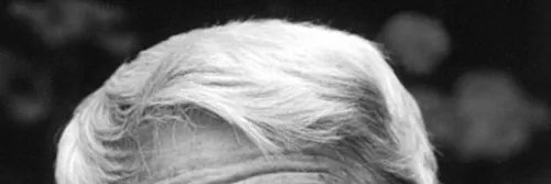 Ernie Wise's Wig's banner