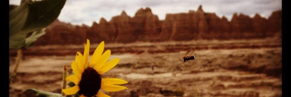 Holly_Looya's profile banner image