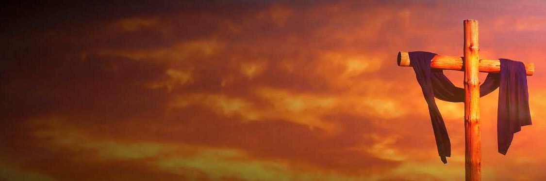 Anthony Shkreli banner