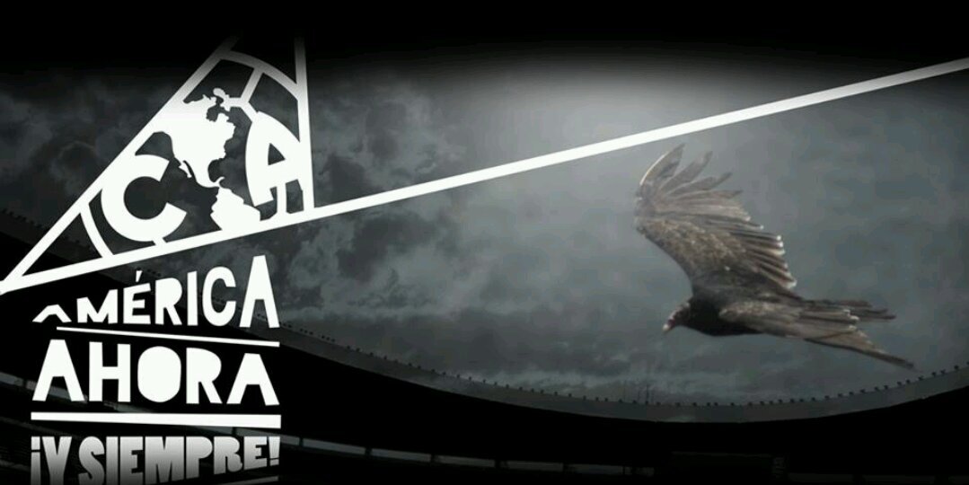 luizzifoshizzi's profile banner image