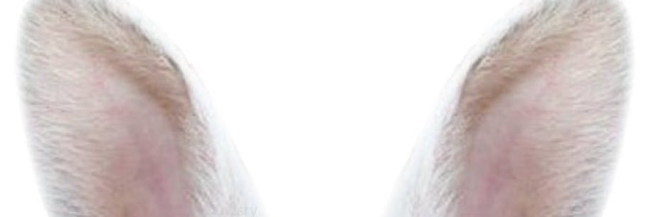 :): banner