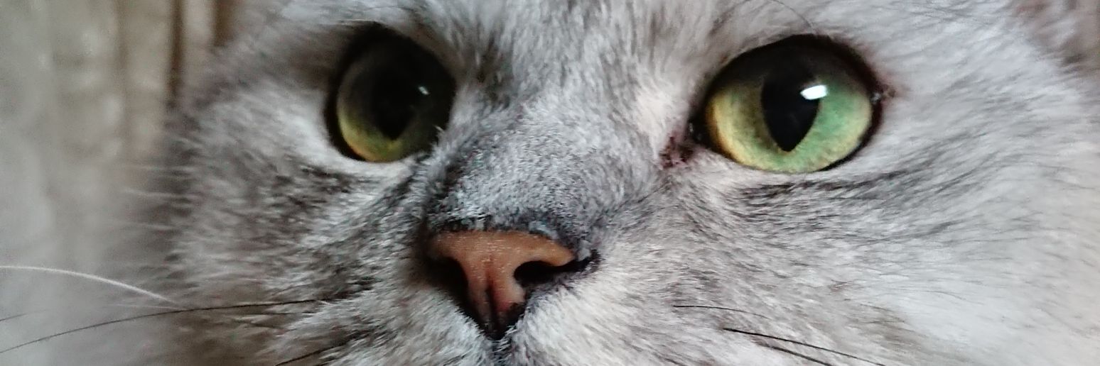 _mennko_'s profile banner image