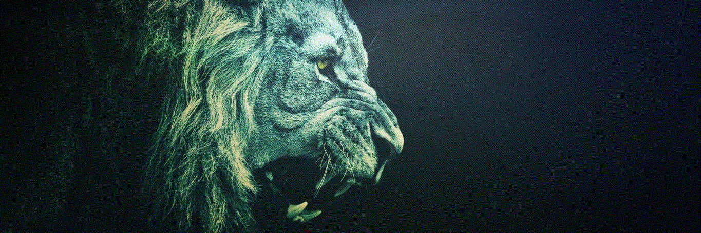 kumareshsomi banner