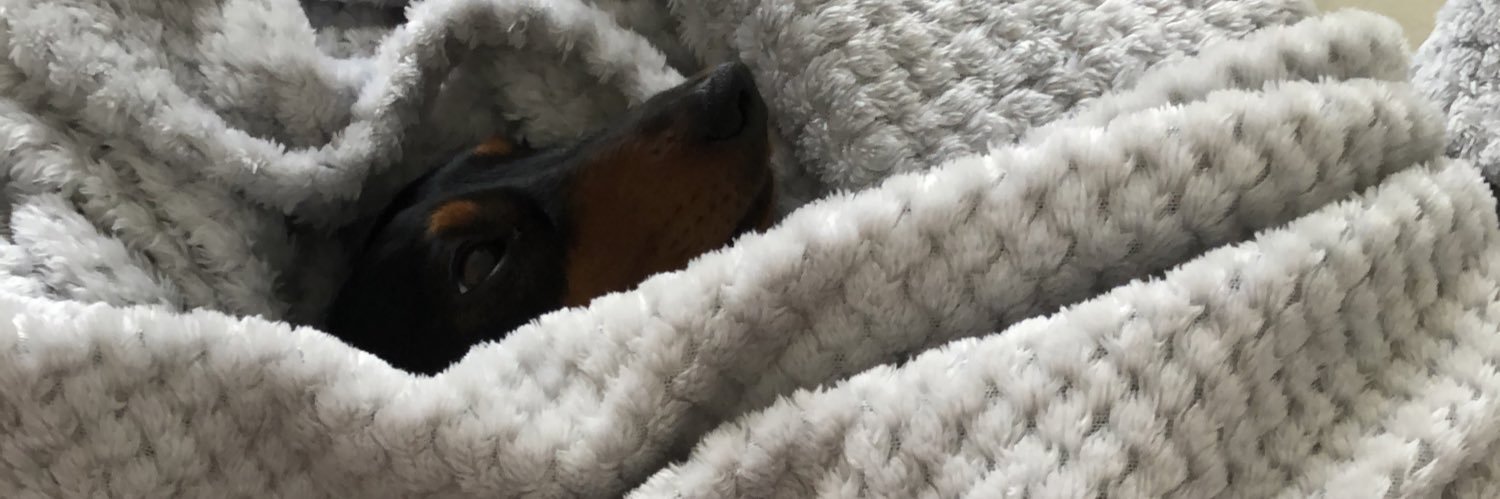 1chloet's profile banner image