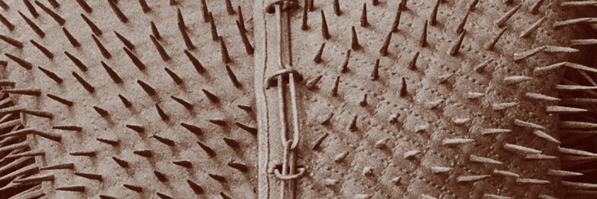 northwesternup's profile banner image