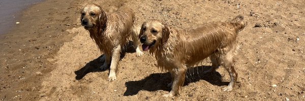 GillianK22948 Profile Banner