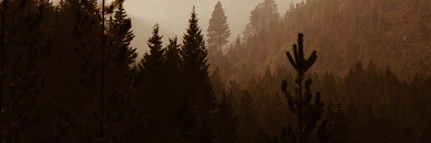 Riooo2024's profile banner image