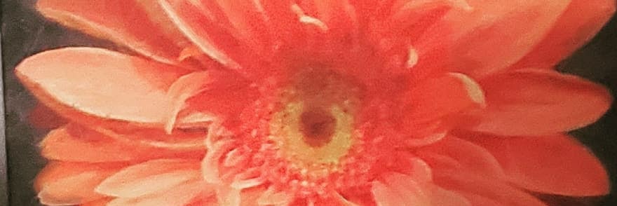 rhettrojet's profile banner image