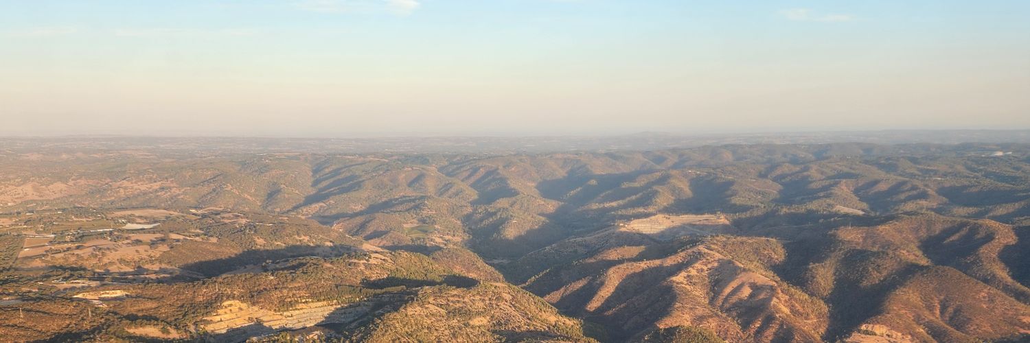 A Lost Fox 🔞 banner