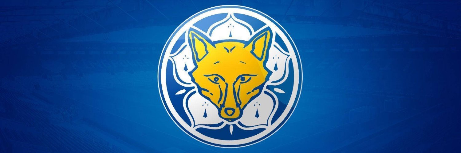 Foxes on the Box banner