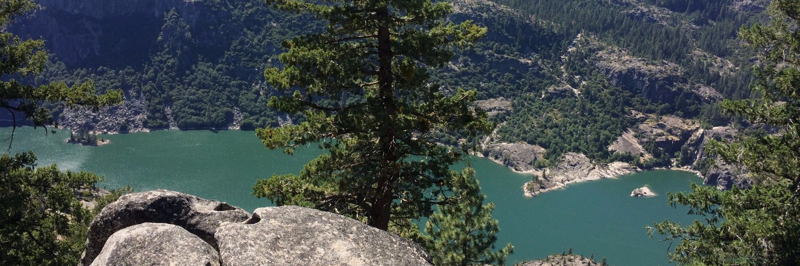 Alfred Ryan Nerz banner