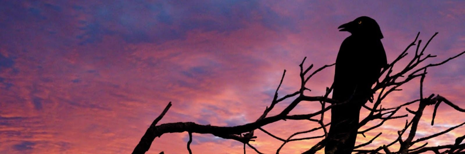 Jaysea93's profile banner image