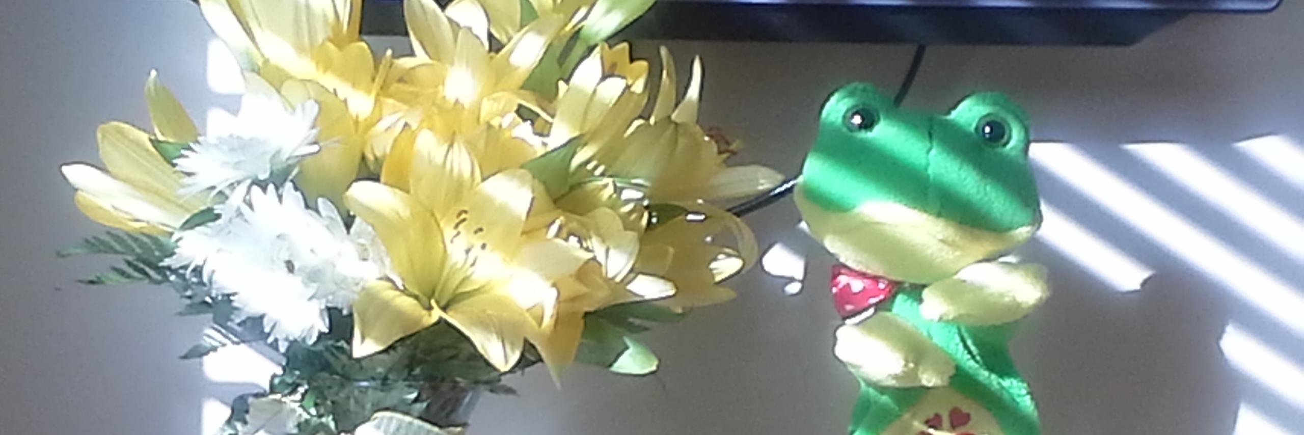 dabigdoc's profile banner image