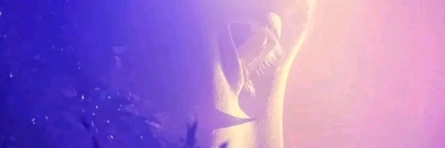 Poly_na 🇧🇬 banner
