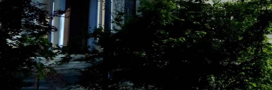 pabbiuso's profile banner image