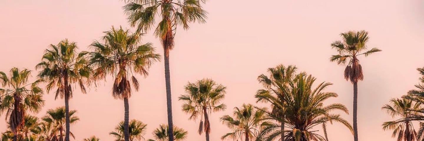 MJOSE209's profile banner image