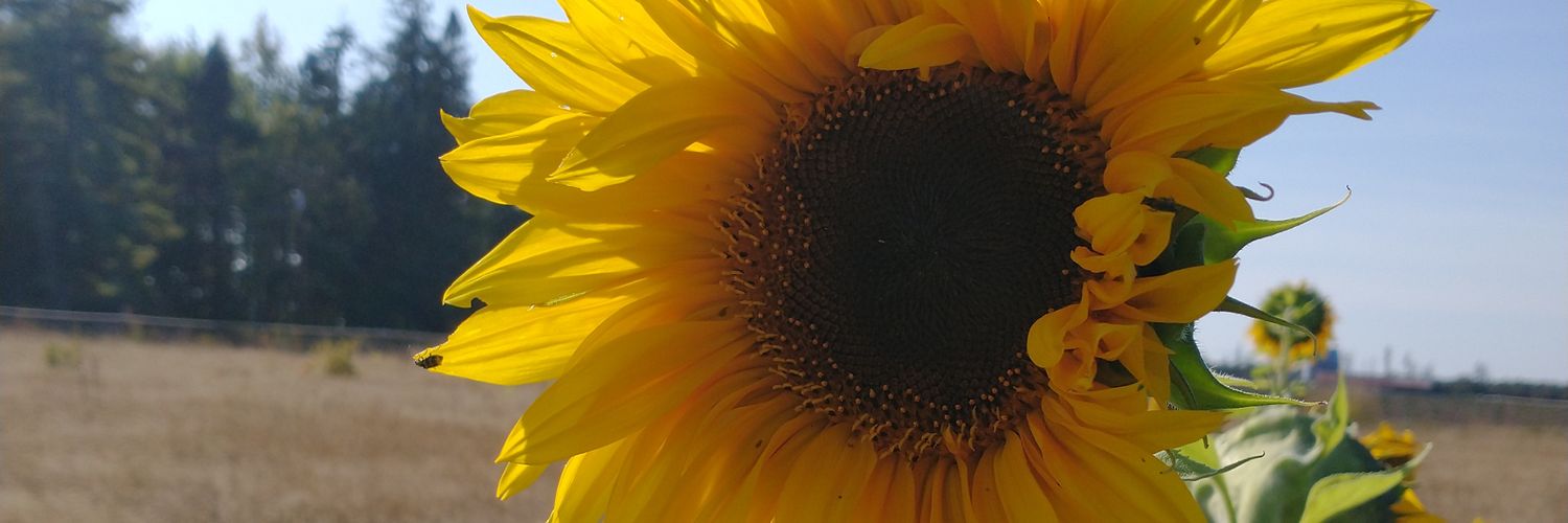 marginalme's profile banner image