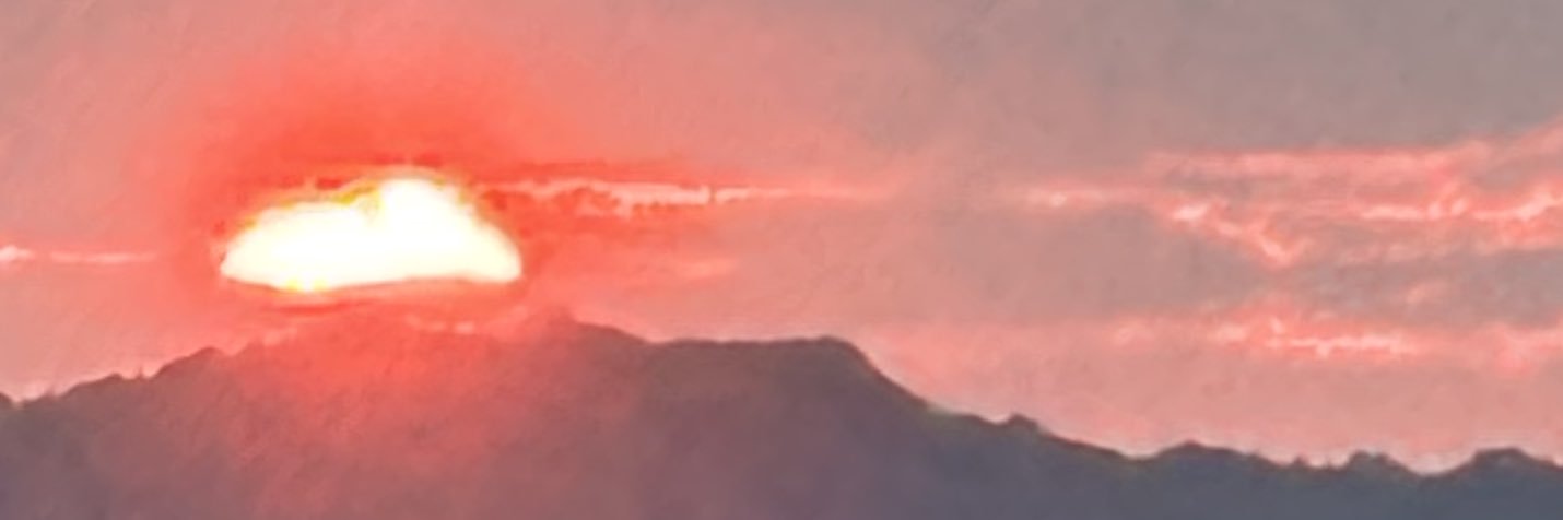 伊達 banner