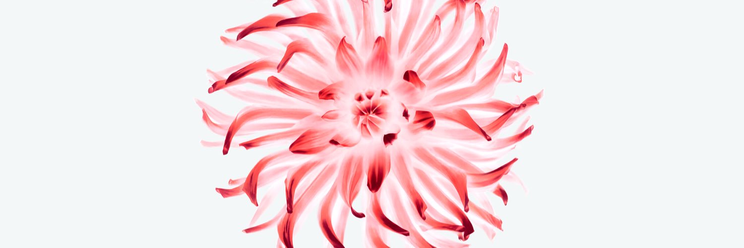 consjadresic's profile banner image