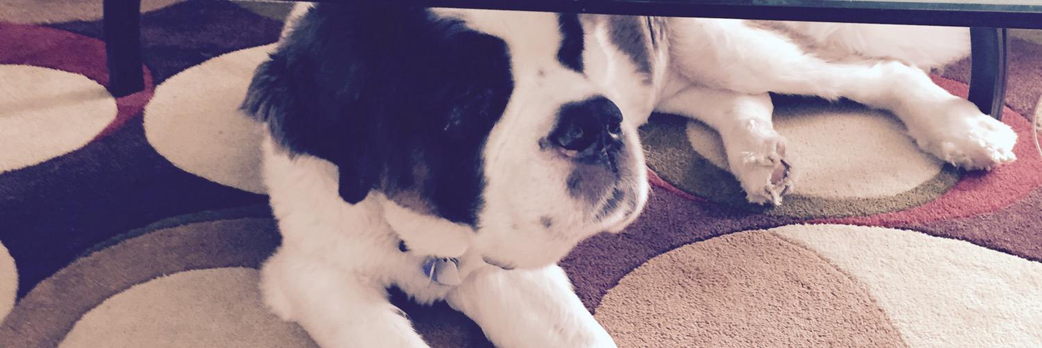 TJBautz's profile banner image
